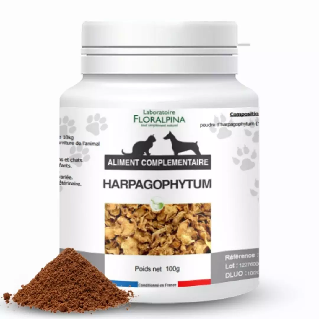 HARPAGOPHYTUM pour CHIEN - GUIDE COMPLET